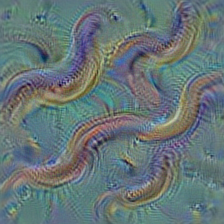 n01924916 flatworm, platyhelminth